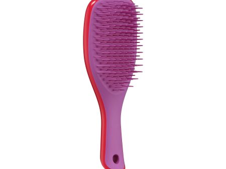 Tangle Teezer El mini cepillo desenredante húmedo para cabello húmedo y seco | Perfecto para niños y viajes | Morello Cherry & Violet Embalaje Deteriorado Online Hot Sale