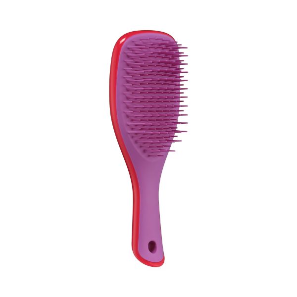 Tangle Teezer El mini cepillo desenredante húmedo para cabello húmedo y seco | Perfecto para niños y viajes | Morello Cherry & Violet Embalaje Deteriorado Online Hot Sale